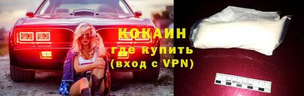 крисы Беломорск