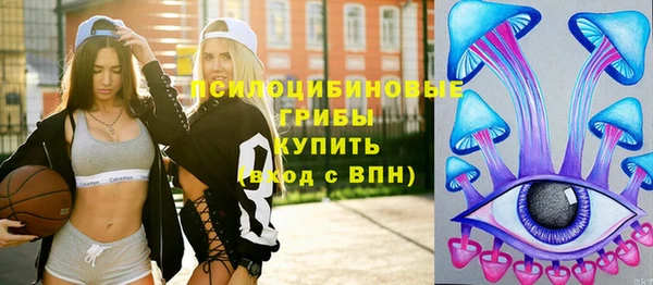 крисы Беломорск