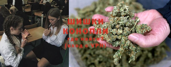 спайс Белокуриха