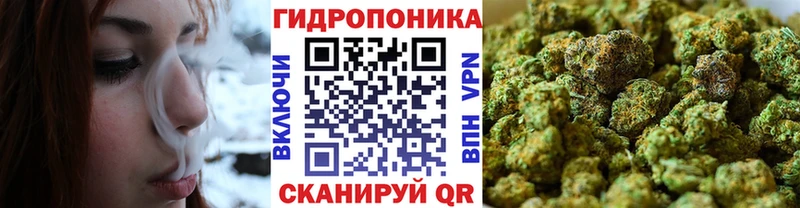 МАРИХУАНА Amnesia  где можно купить   ссылка на мегу ссылки  Будённовск 